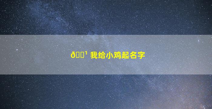 🌹 我给小鸡起名字